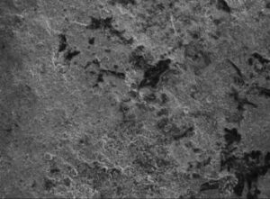 Delamination studies of glass containers