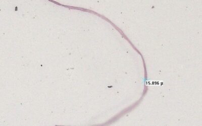 Fibre Contaminants in Healthcare Products