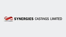 Synergies Castings Limited, Andhrapradesh