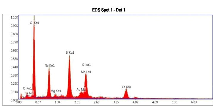 Confirmation of delaminated glass particles using EDS