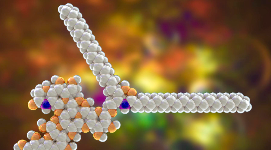 Polymorphic Characterization (Polymorphism)