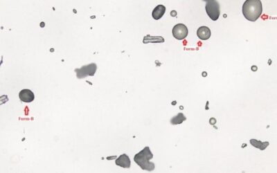 Hot Stage Microscopy (HSM) for Polymorphic Characterization in Pharmaceuticals
