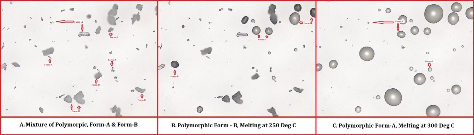 Hot Stage Microscopy (HSM) for Polymorphic Characterization in ...