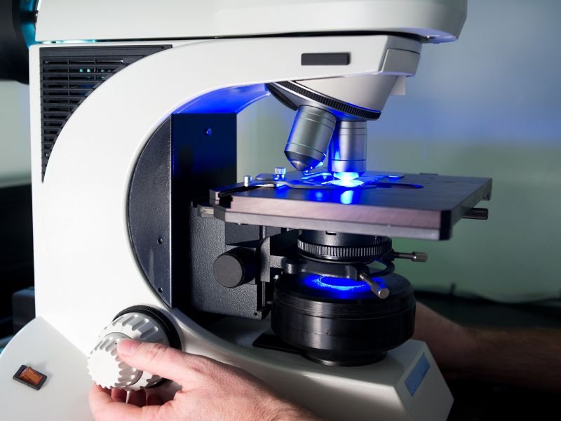 Understanding API Particle Size Distribution by Microscopy: A Comprehensive Analysis