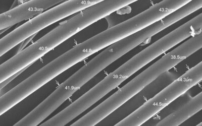 Fibre Particle Contaminant in Antiviral API