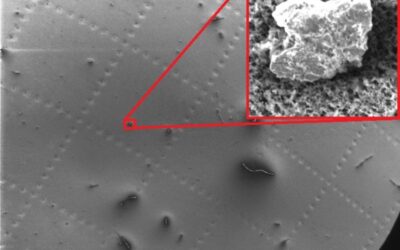 Pharmaceutical Liquid with Multiple Particulate Contaminants